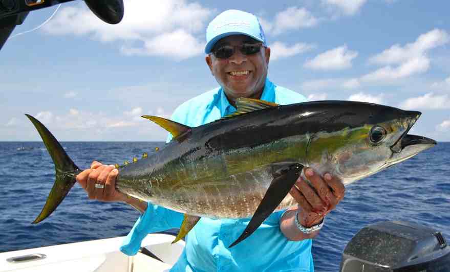 fish-for-tuna